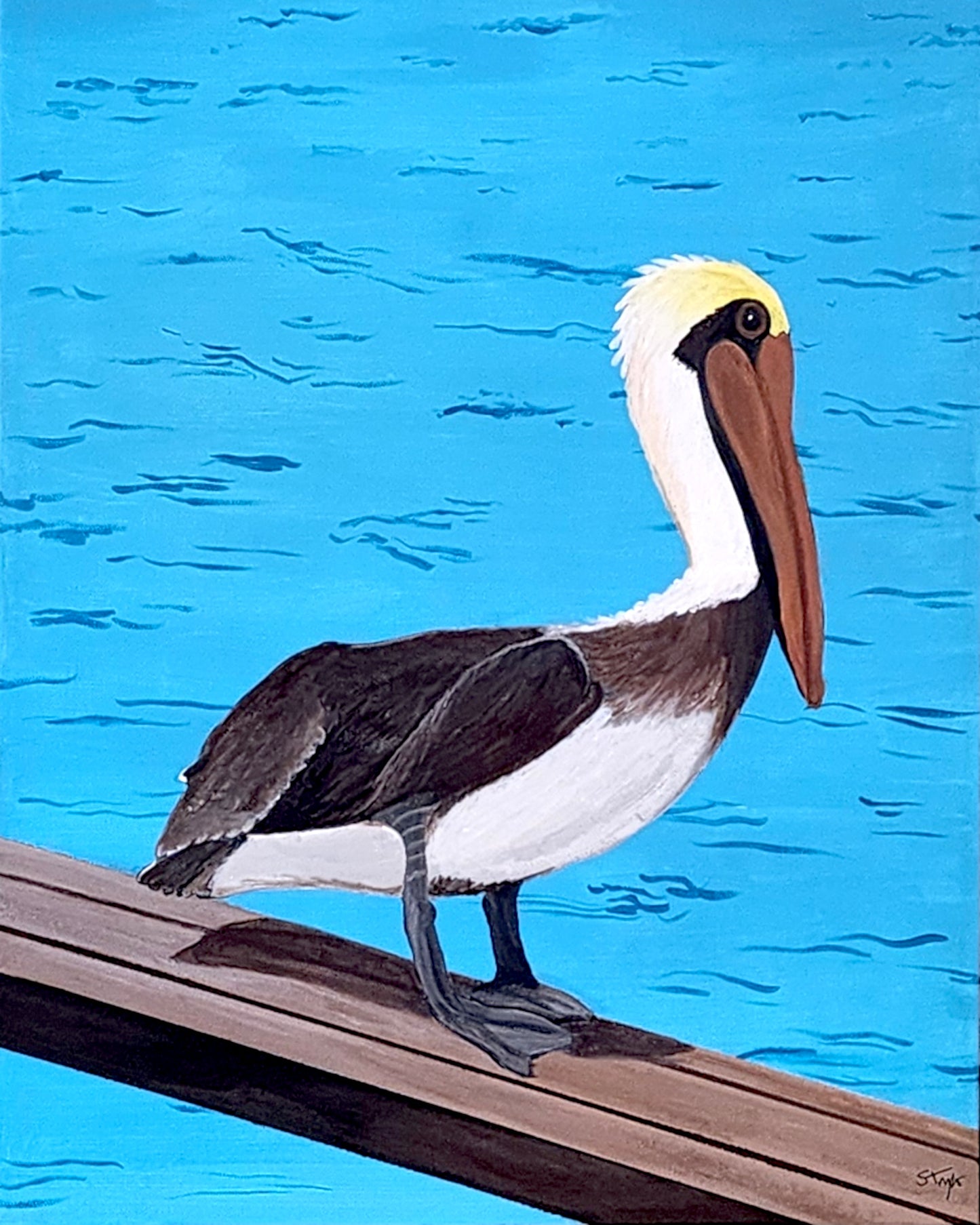 Pelican