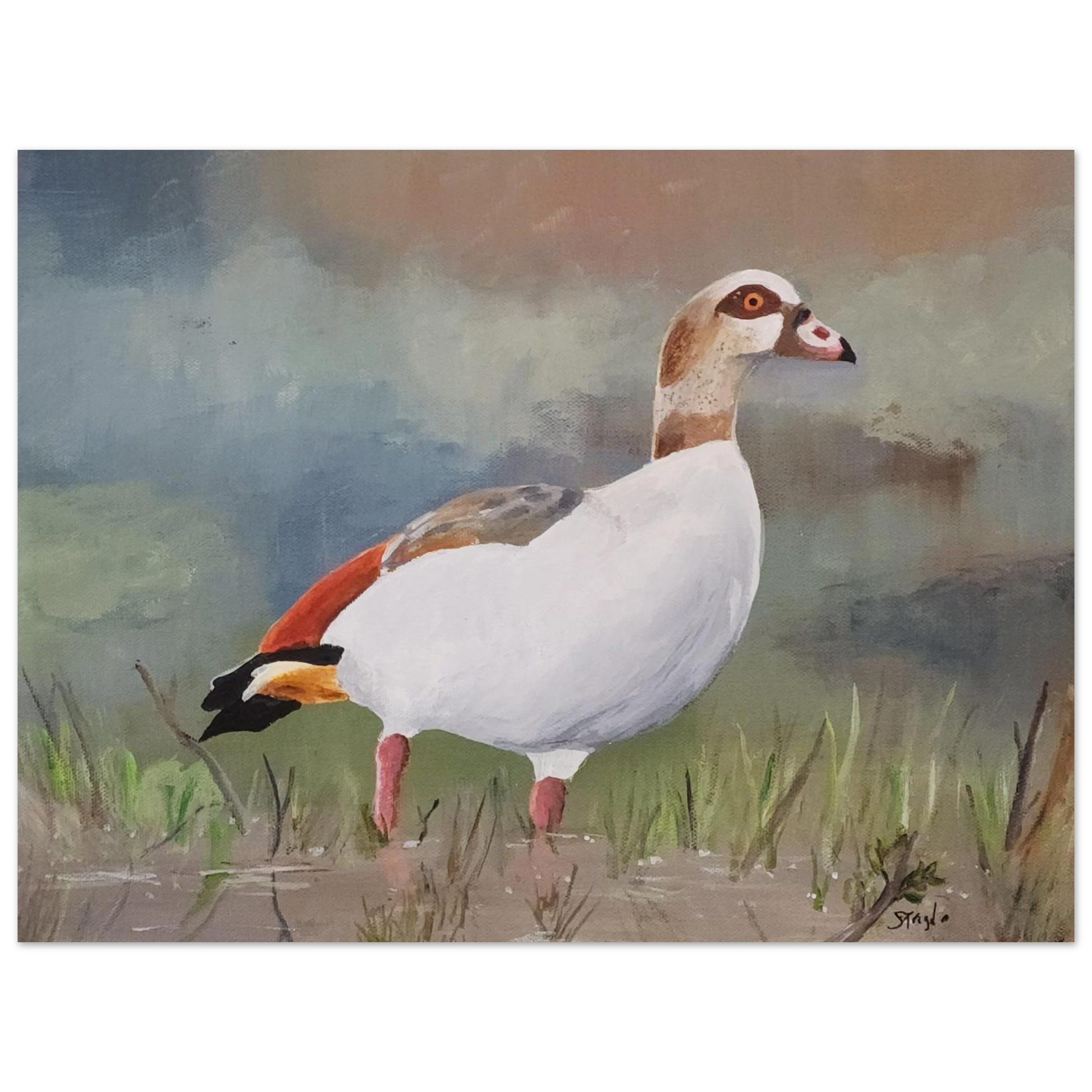 03335018-9fc0-44ee-9e74-f71f0fc28313