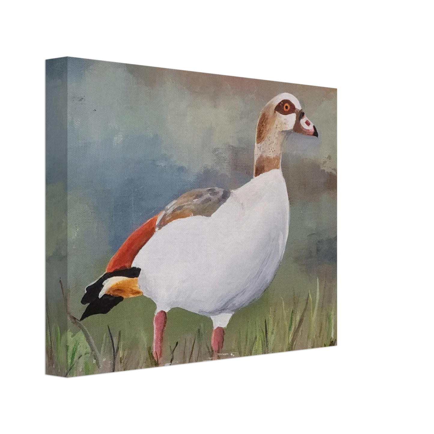 855b33de-d99e-421c-aebd-55fb18f0ce30