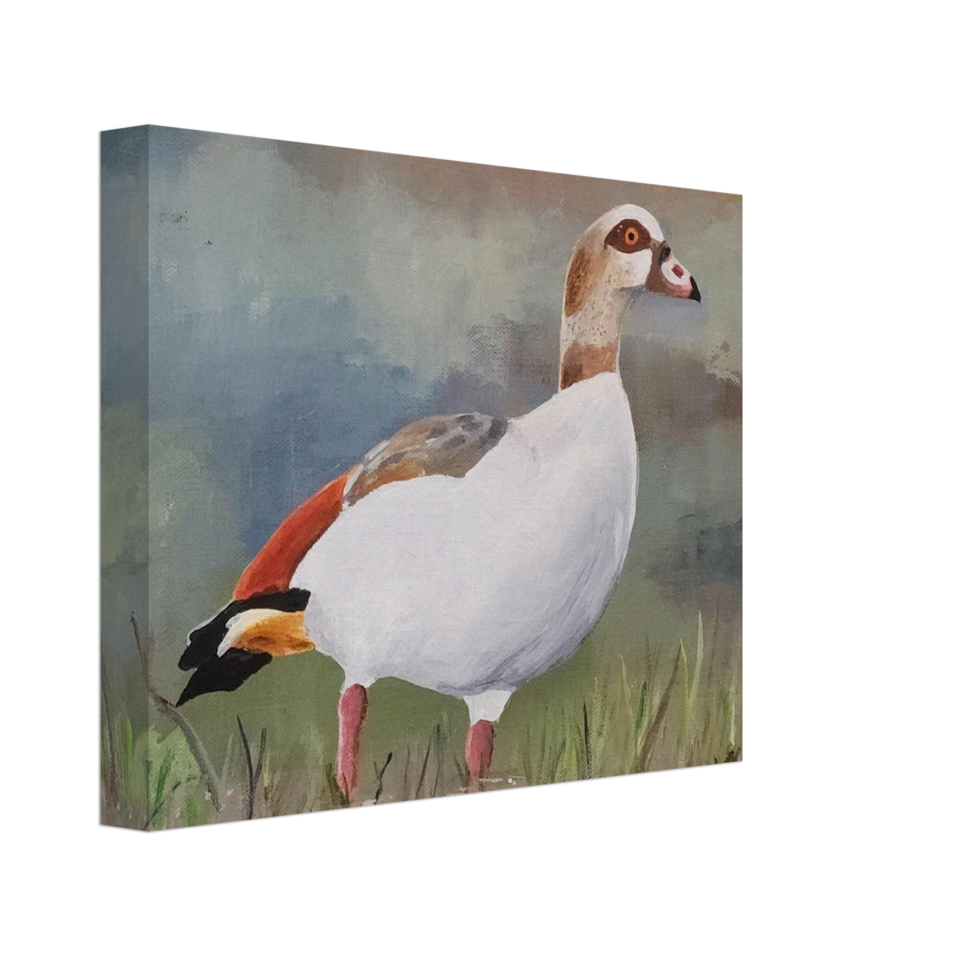 855b33de-d99e-421c-aebd-55fb18f0ce30