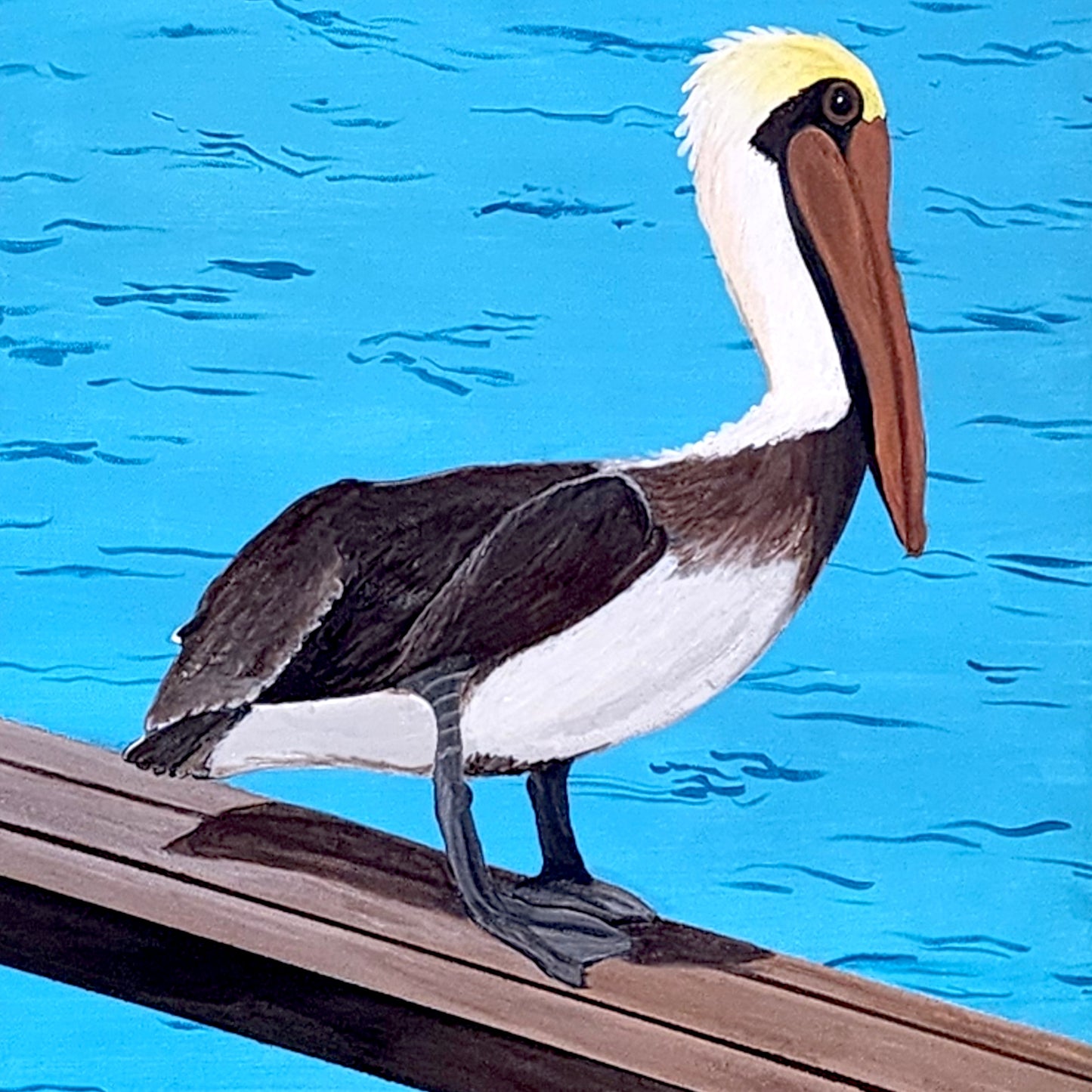 Pelican