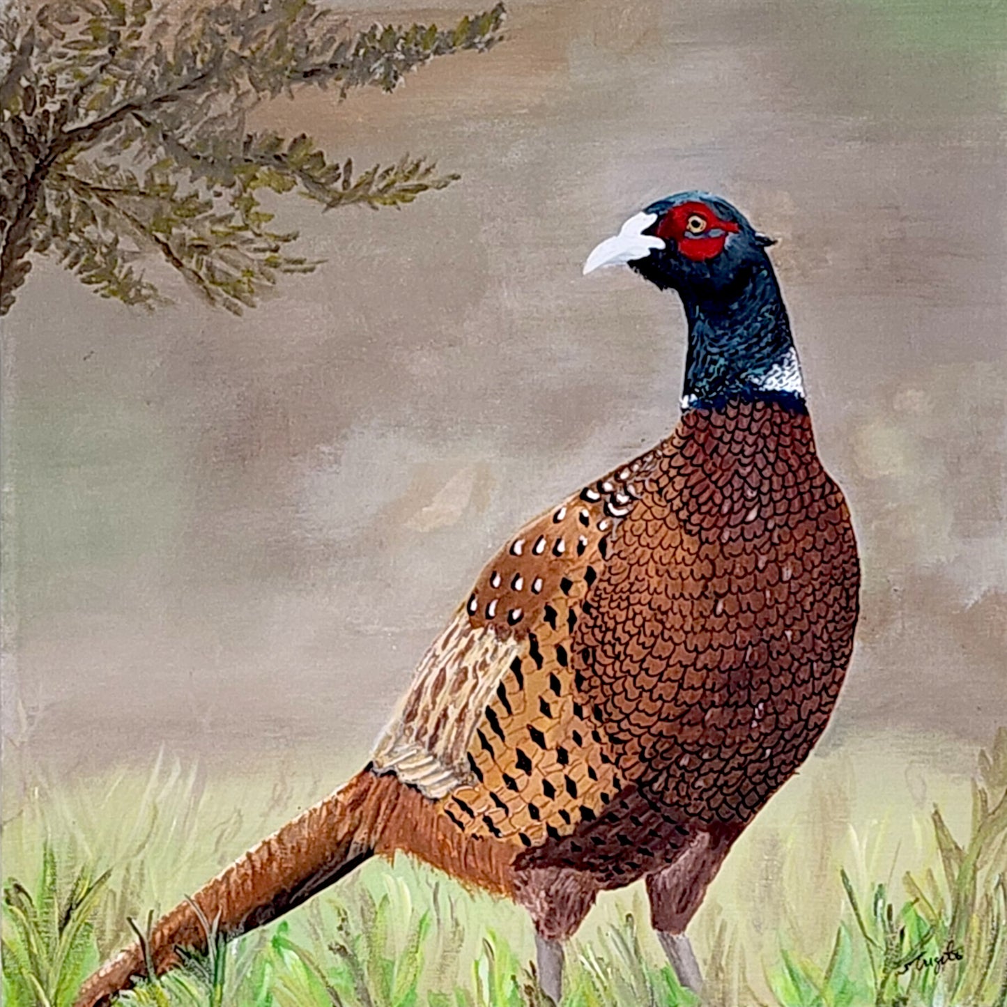 Pheasant